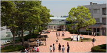 大学校の特徴
